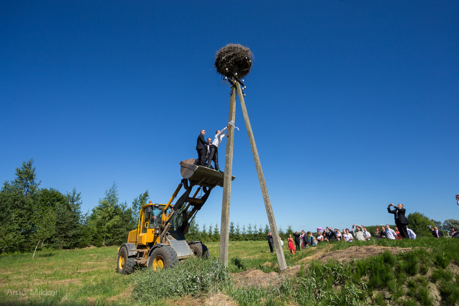 pulma pildistamine Põltsamaal, pulmarong, pulmafoto, pulmafotograaf