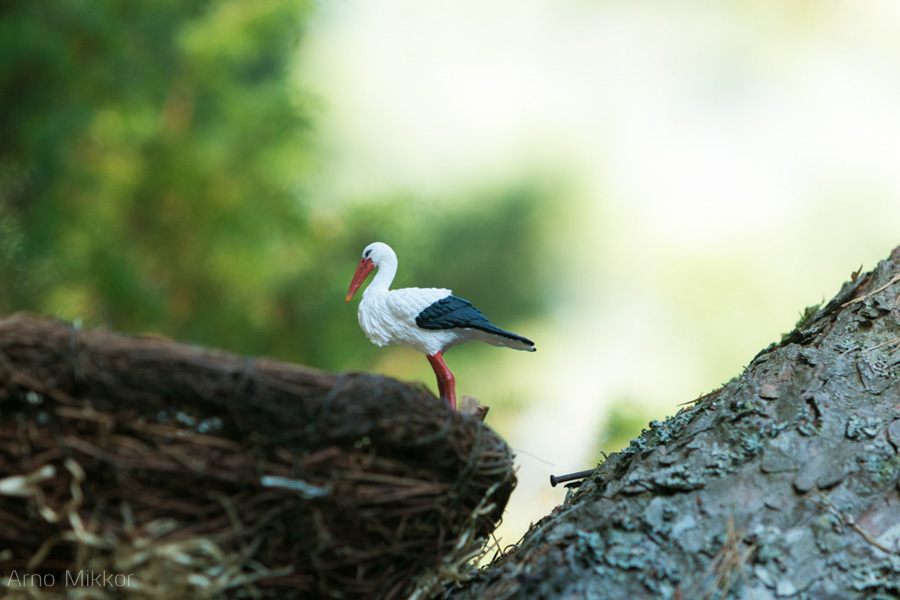 pulmad Saaremaal, pulmafotograaf, pulmafoto