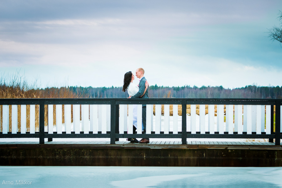 5334_20150214_pulmafoto, pulmafotograaf, pulmapidu, pulmas pildistamine, wedding photography in Estonia, Villa Nõva