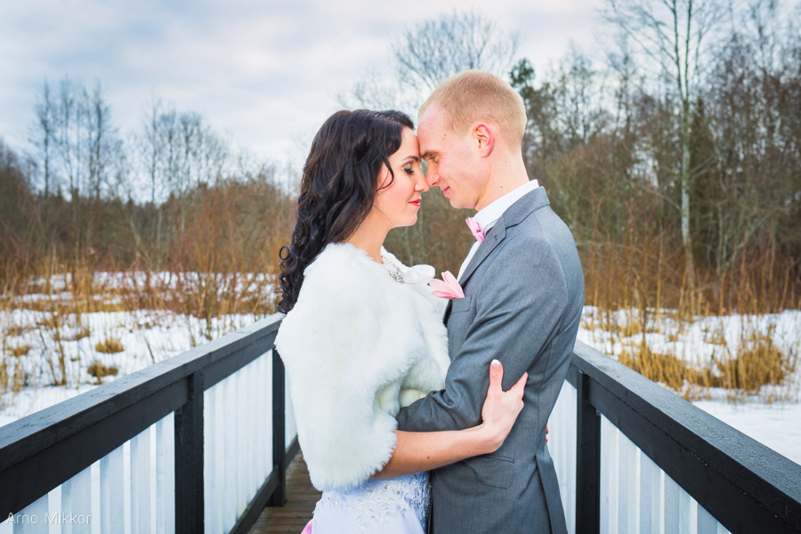 5381_20150214_pulmafoto, pulmafotograaf, pulmapidu, pulmas pildistamine, wedding photography in Estonia, Villa Nõva