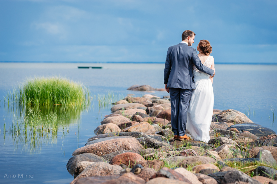 1770_20140816_pulmafoto_pulmafotograaf_pulmapiltnik