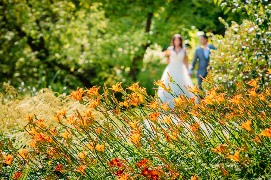 1475_20150807_pulmafoto_pulmafotograaf_pulmapildid