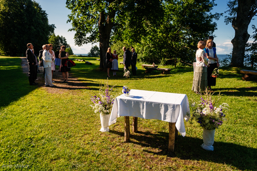 1665_20150717_pulmafoto_pulmafotograaf_pulmapildid