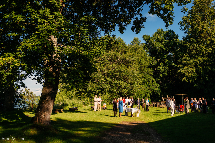 1691_20150717_pulmafoto_pulmafotograaf_pulmapildid