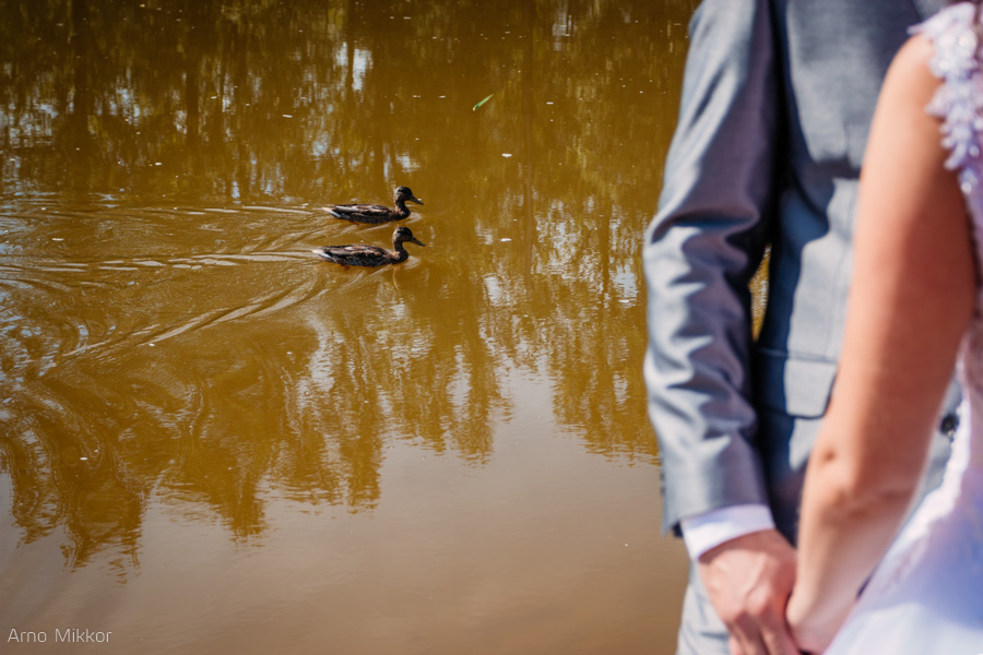 1664_20150904_pulmafoto_pulmafotograaf_pulmapildid