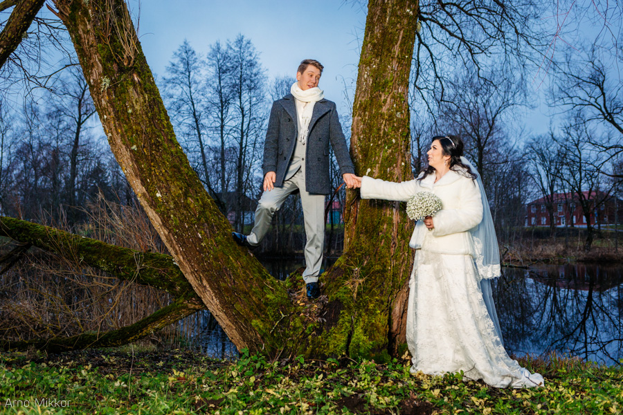 2641_20151212_pulmafoto_pulmafotograaf_pulmapildid