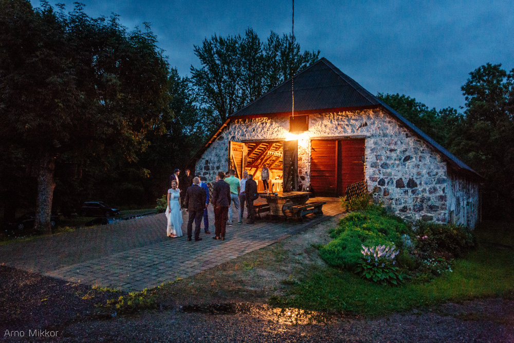 4140_20160715_pulmafoto_pulmafotograaf_pulmapildid_arno_mikkor_pinska_kuun