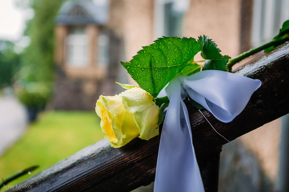 1298_20160611_pulmafoto_pulmafotograaf_pulmapildid_arno_mikkor_taagepera_loss