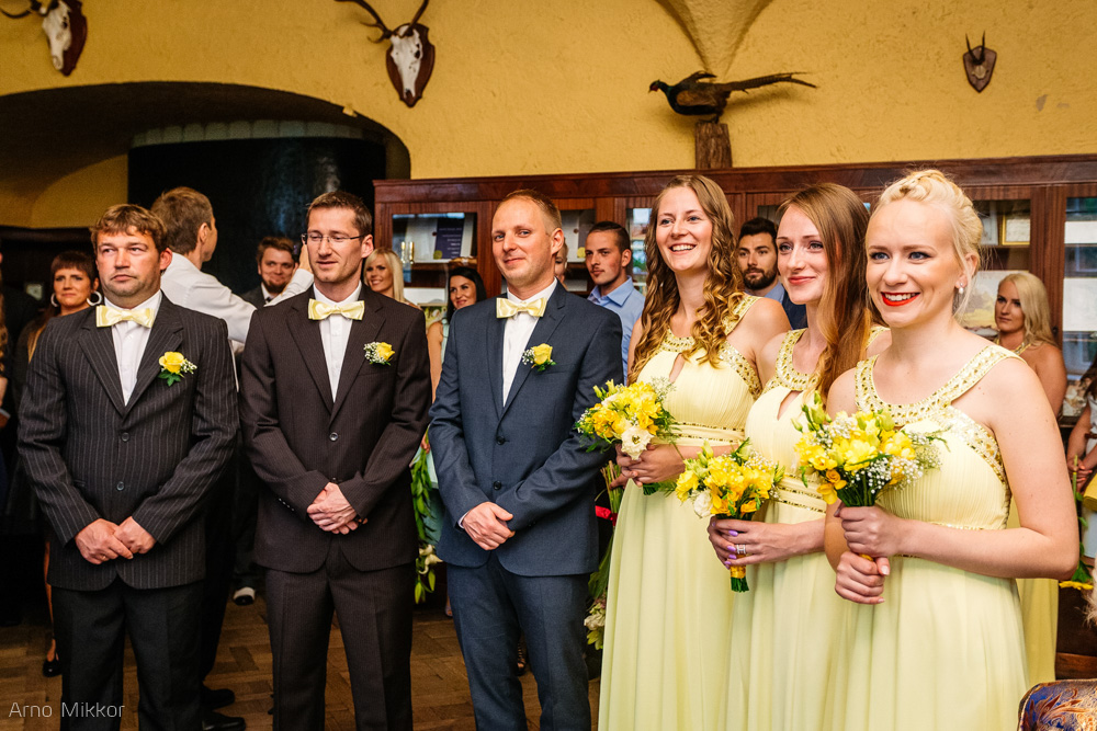 1538_20160611_pulmafoto_pulmafotograaf_pulmapildid_arno_mikkor_taagepera_loss