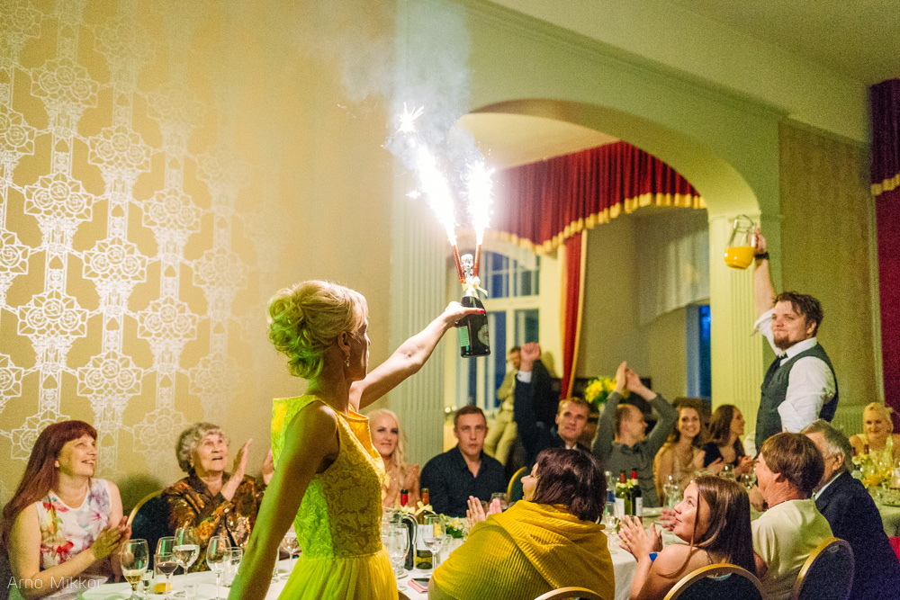 3135_20160611_pulmafoto_pulmafotograaf_pulmapildid_arno_mikkor_taagepera_loss