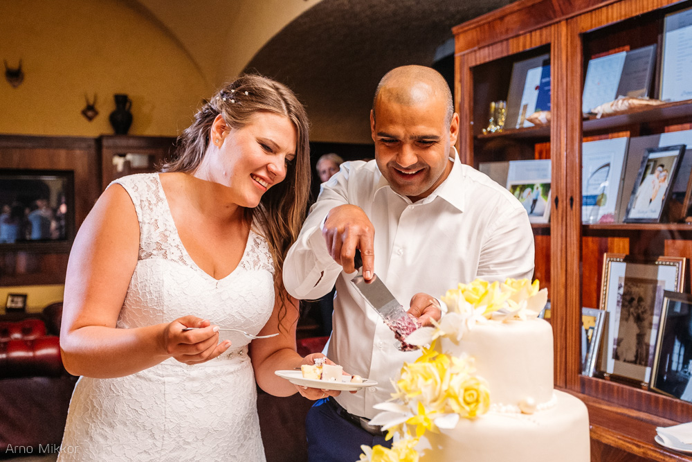 3477_20160611_pulmafoto_pulmafotograaf_pulmapildid_pulmatort_arno_mikkor_taagepera_loss