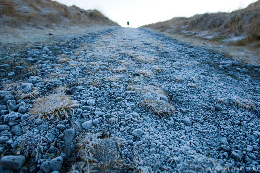 Külmunud maa. Frozen Ground